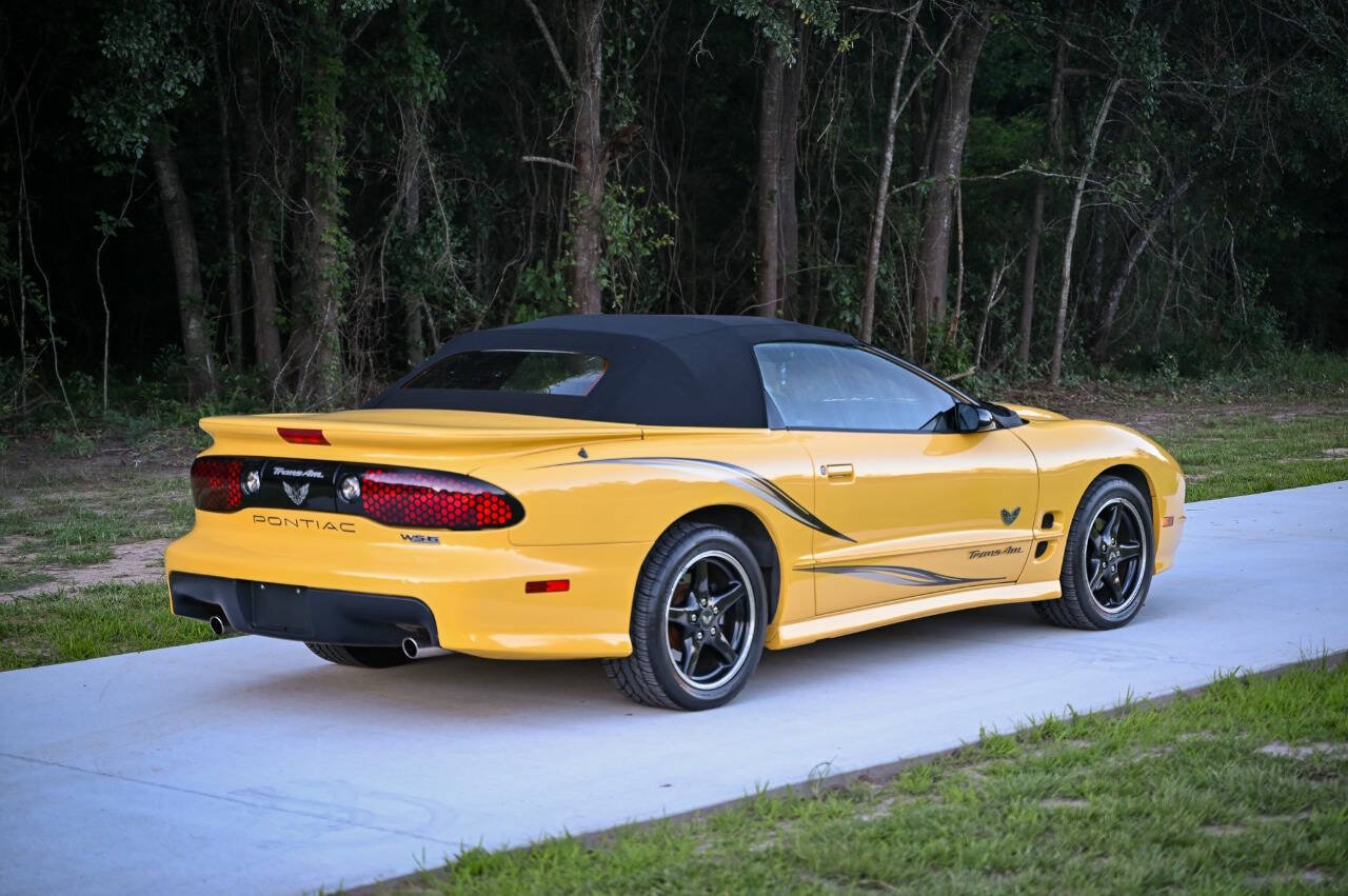 Used 2002 Pontiac Firebird Trans Am RWD image 2
