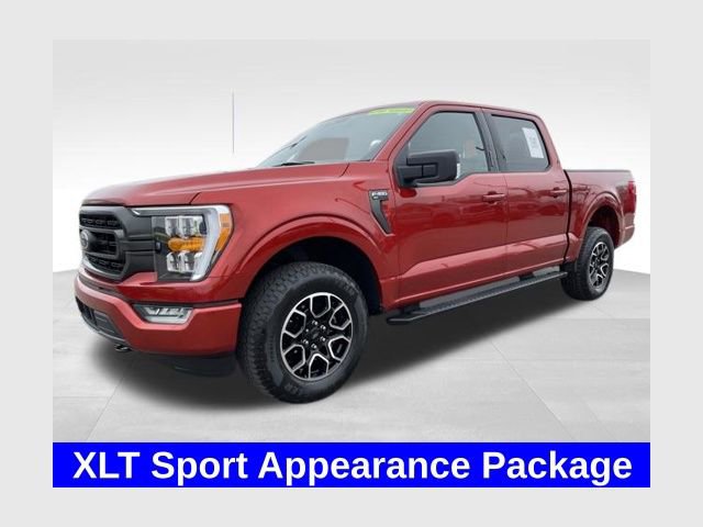 Used 2023 Ford F150 XLT w/ Equipment Group 302A High