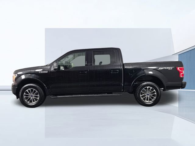 Used 2019 Ford F150 XLT w/ Equipment Group 302A Luxury image 4