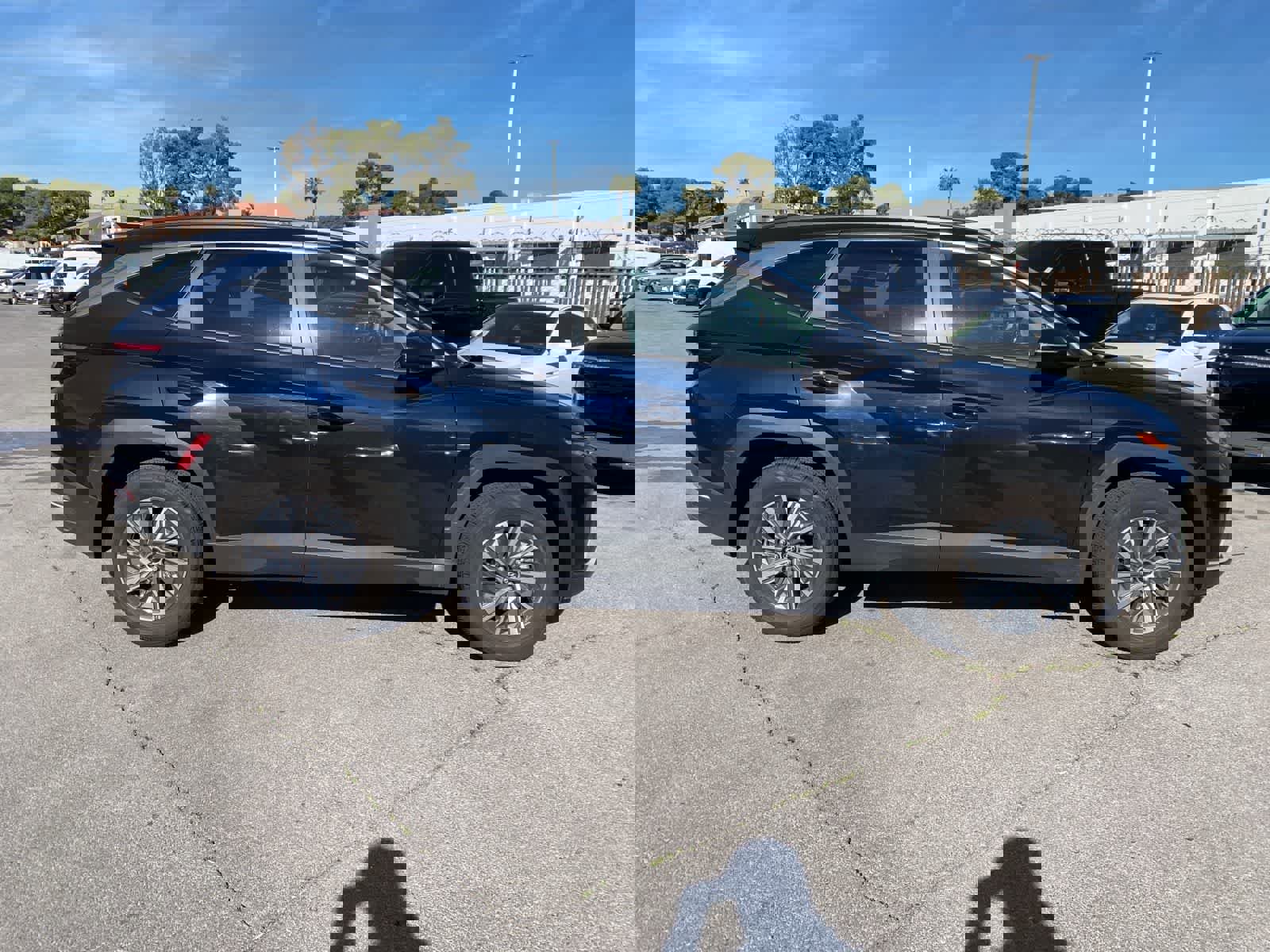 Used 2023 Hyundai Tucson Blue image 4