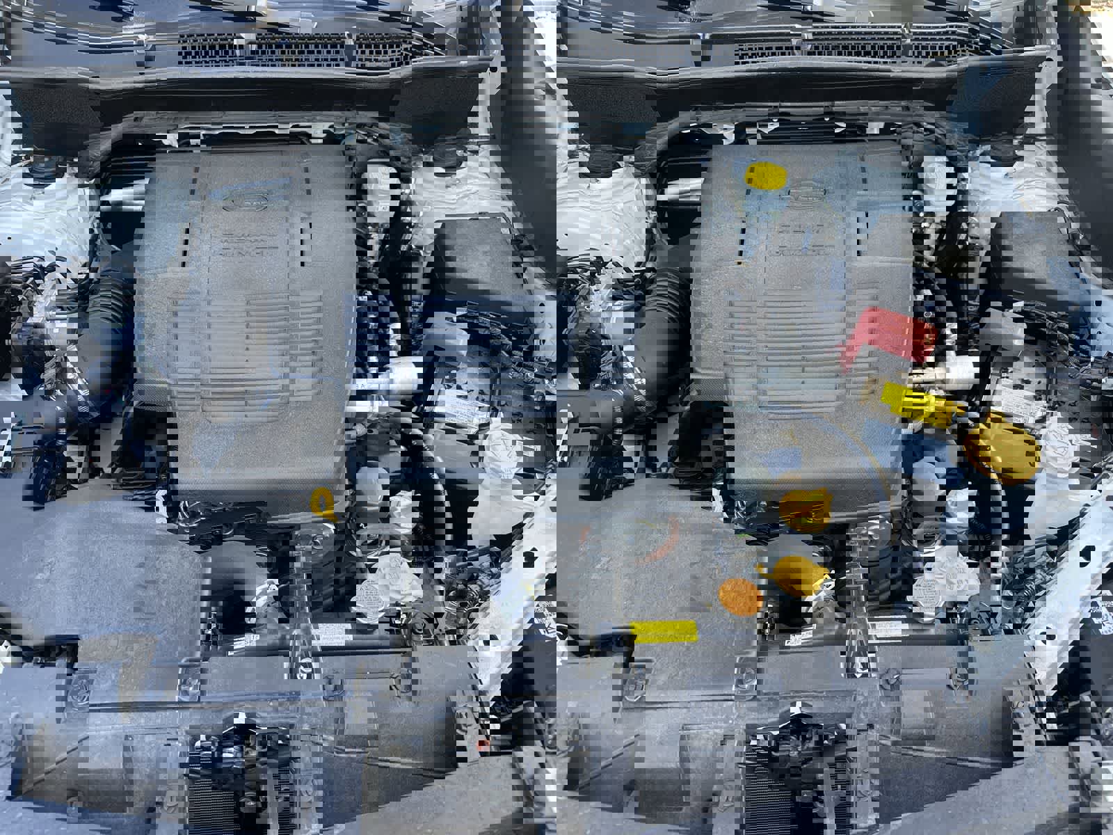 Used 2024 Subaru Forester Wilderness image 13