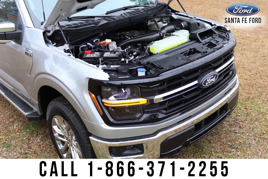 New 2025 Ford F150 XLT w/ Equipment Group 303A High image 18