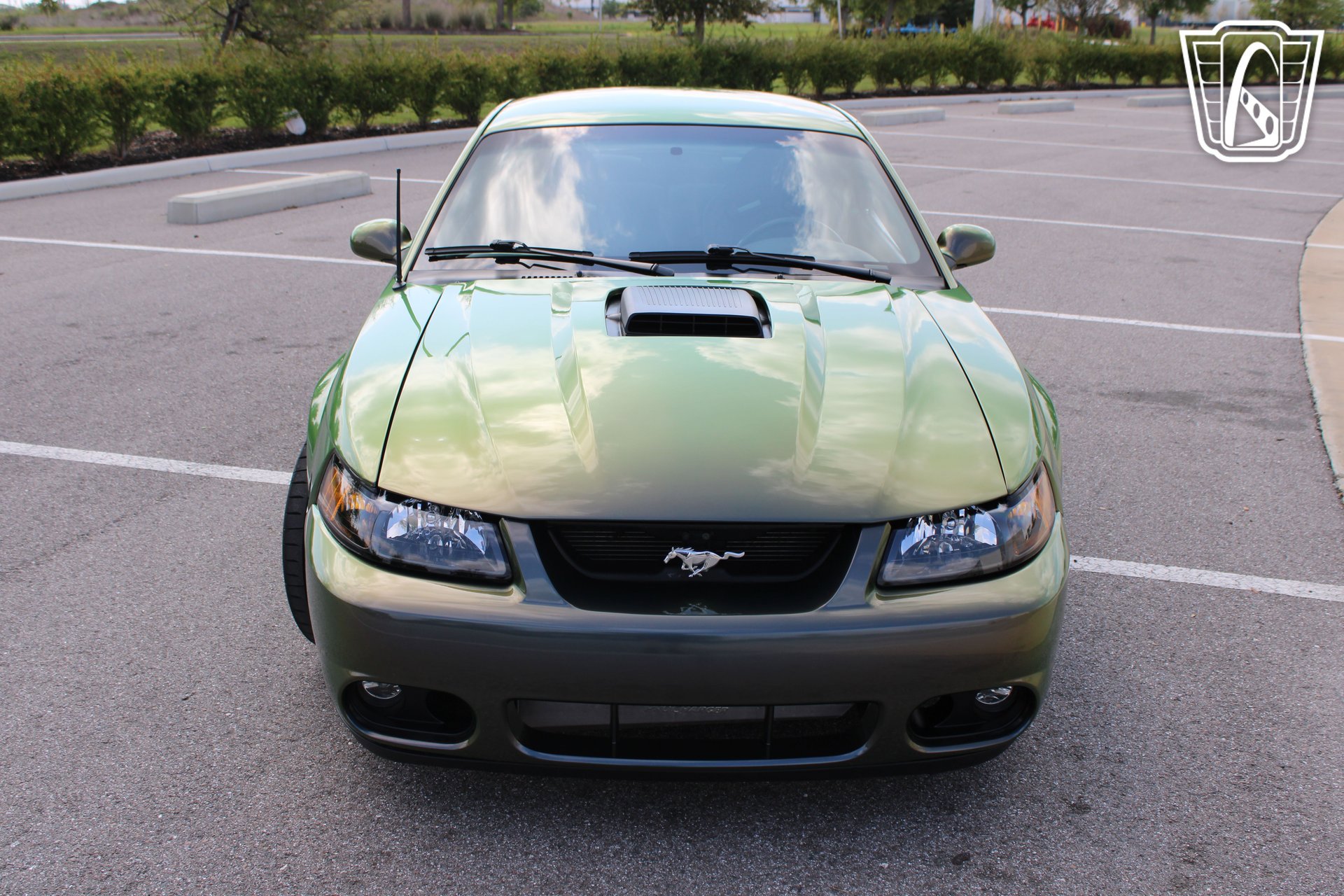Used 2003 Ford Mustang Mach 1 image 3