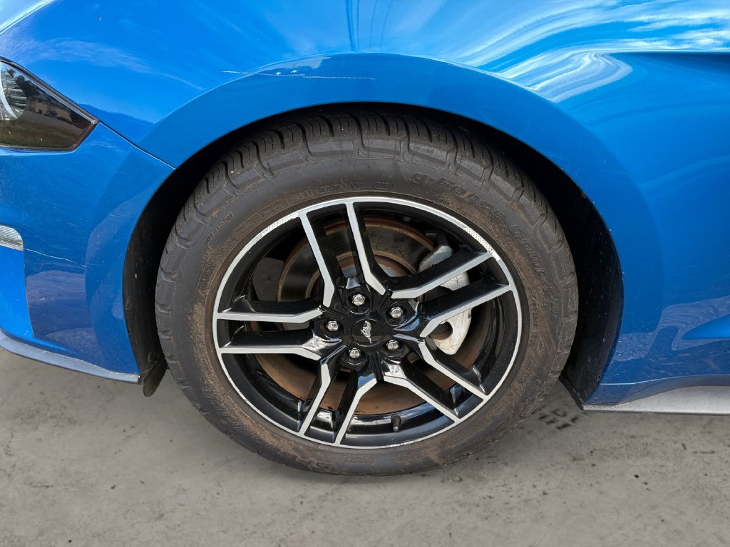 Used 2020 Ford Mustang Coupe w/ Equipment Group 101A RWD image 14