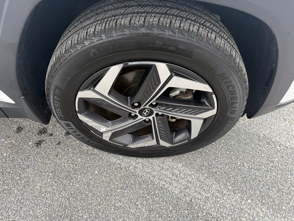 Used 2024 Hyundai Tucson Limited AWD/4WD image 10
