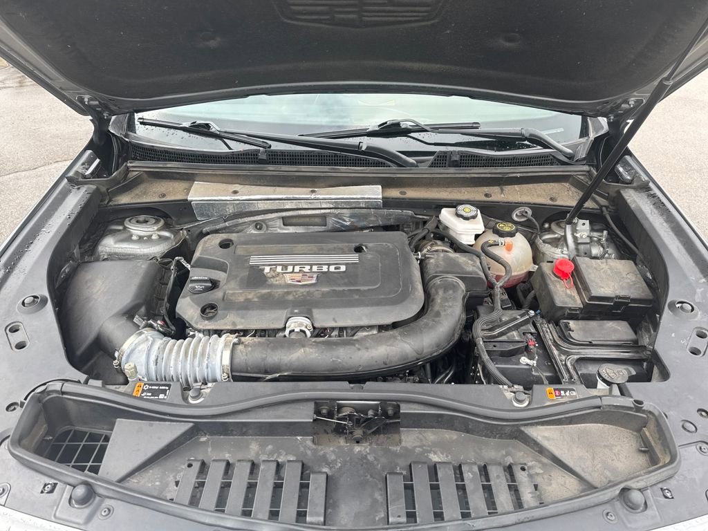 Used 2024 Cadillac XT4 Premium Luxury image 23