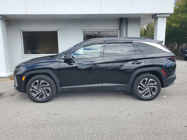 Used 2025 Hyundai Tucson Limited image 12