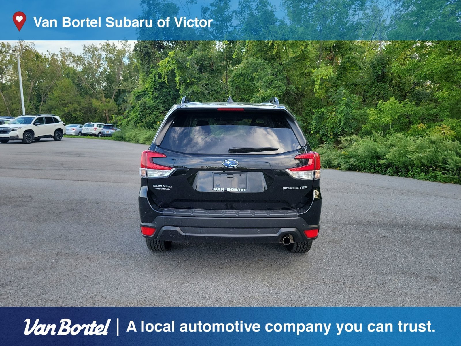 Used 2024 Subaru Forester Limited AWD/4WD image 4