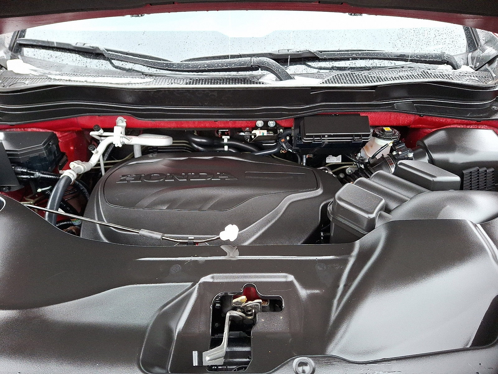 Used 2024 Honda Passport TrailSport image 28