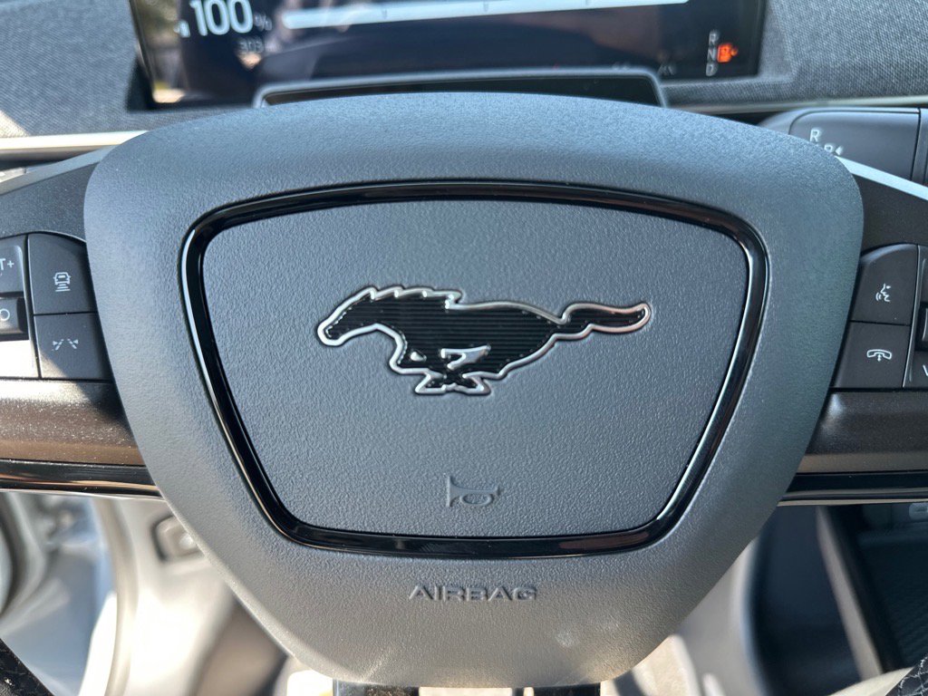 New 2025 Ford Mustang Mach-E Premium w/ Interior Protection Package image 25