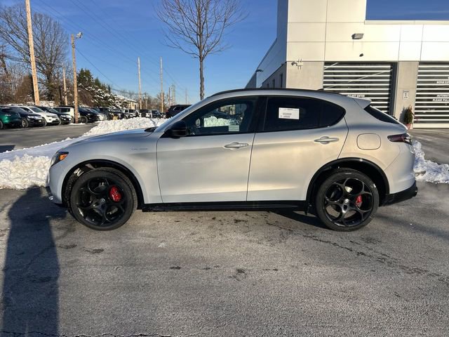 New 2026 Alfa Romeo Stelvio Sprint image 5