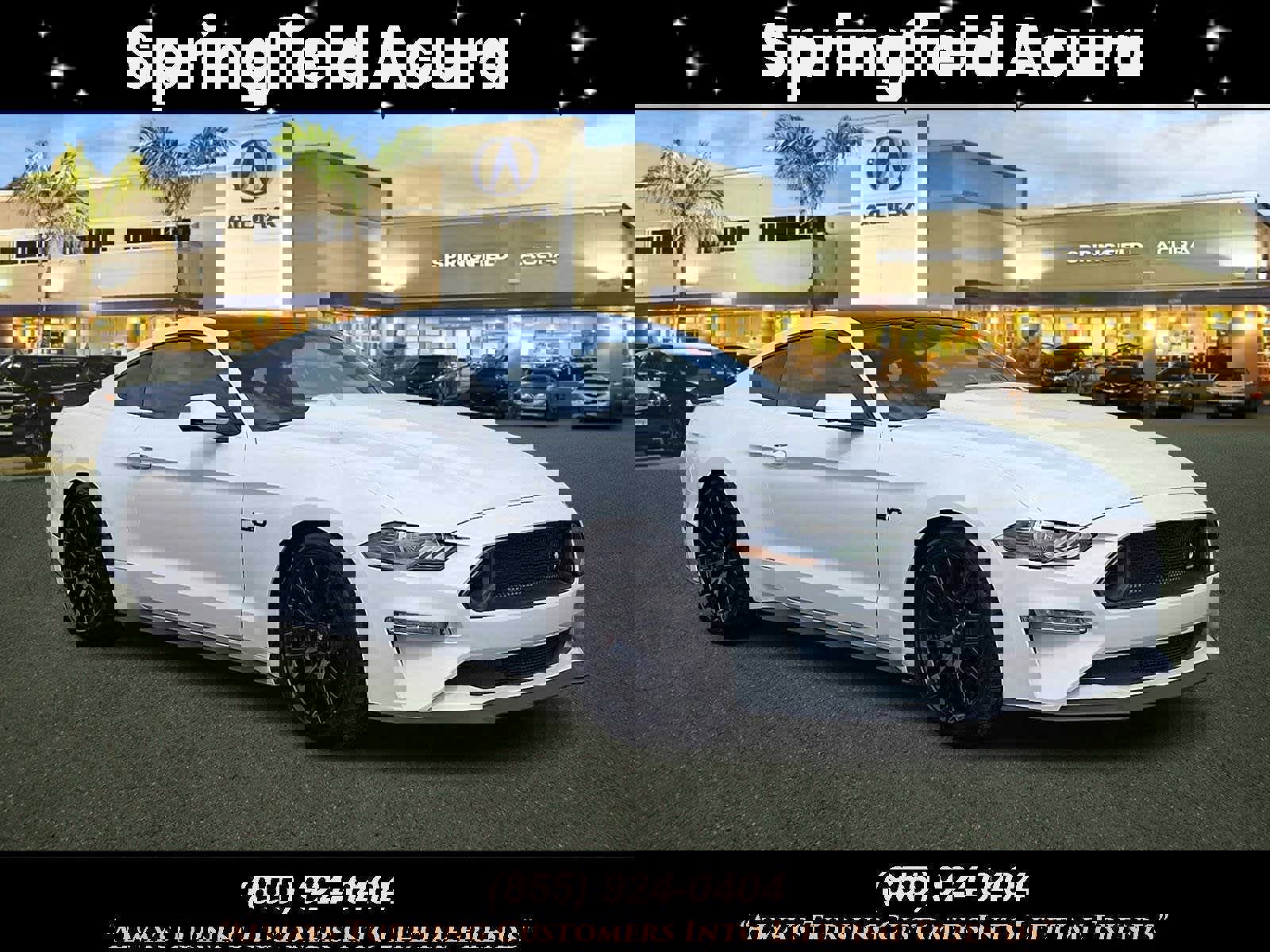 Used 2019 Ford Mustang GT Premium w/ GT Performance Package image 1