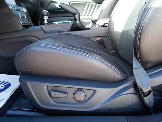 Used 2023 Ford Mustang GT Premium image 13