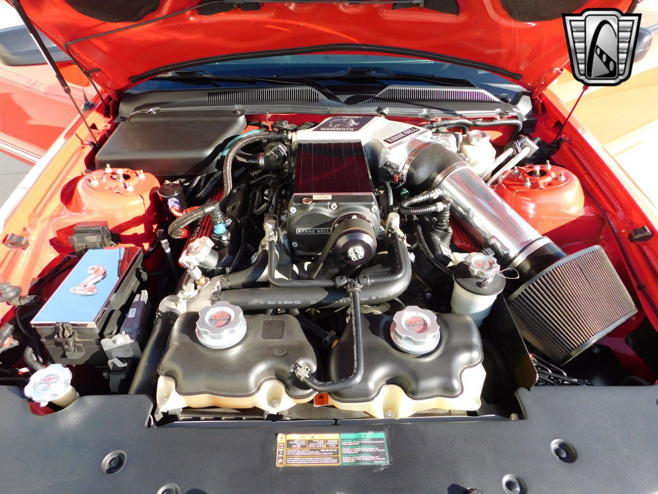 Used 2008 Ford Mustang Shelby GT500 image 14