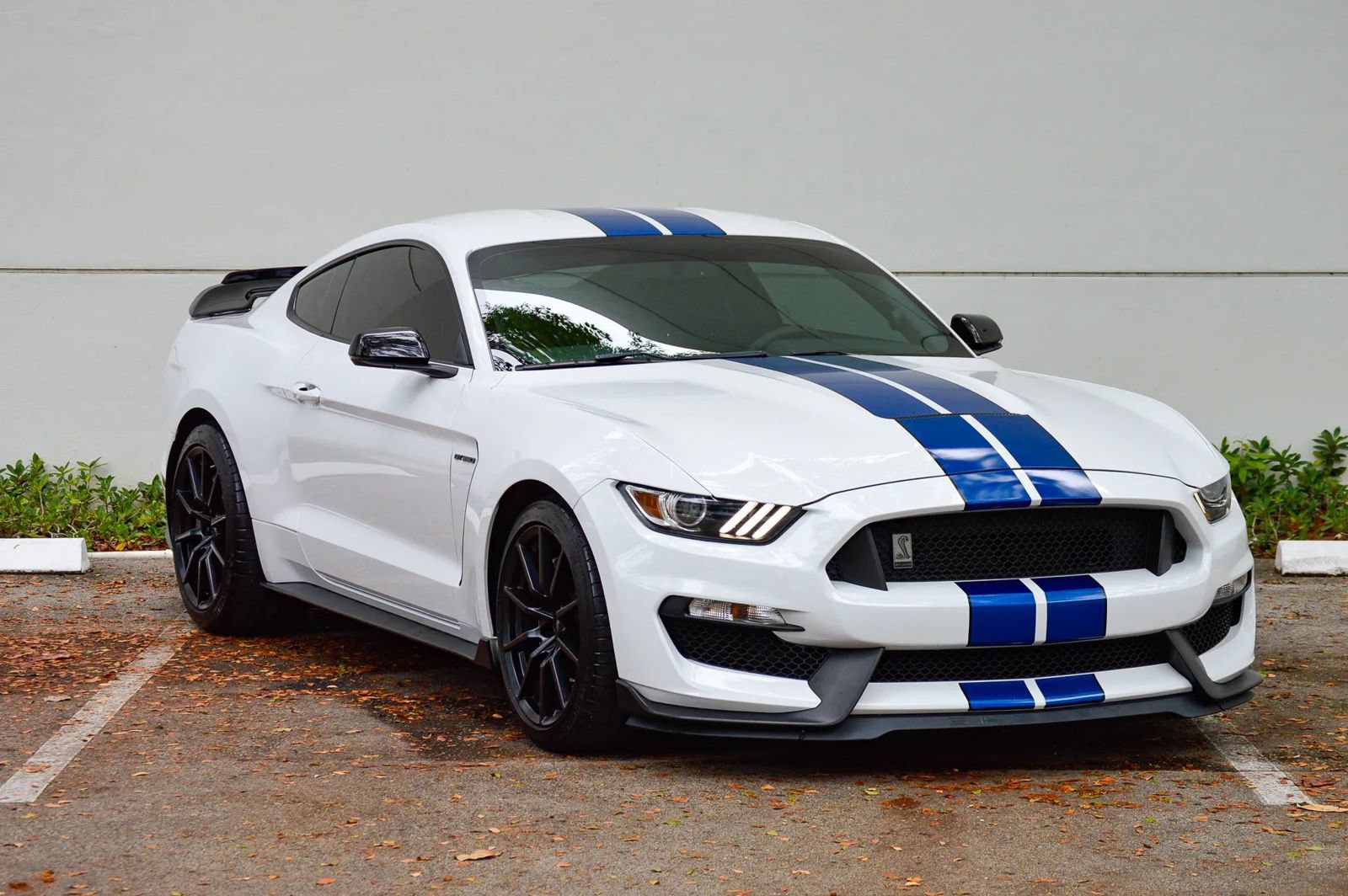 Used 2018 Ford Mustang Shelby GT350 w/ Convenience Package RWD image 23