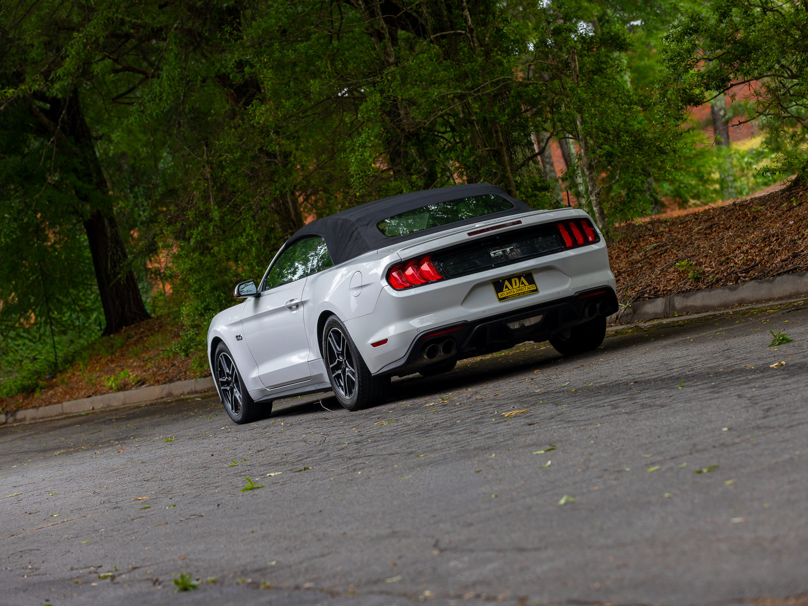 Used 2019 Ford Mustang GT Premium w/ Equipment Group 401A RWD image 41