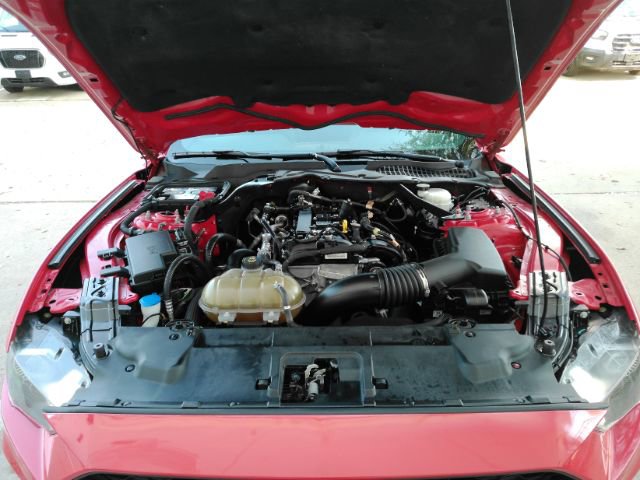 Used 2023 Ford Mustang Premium image 50