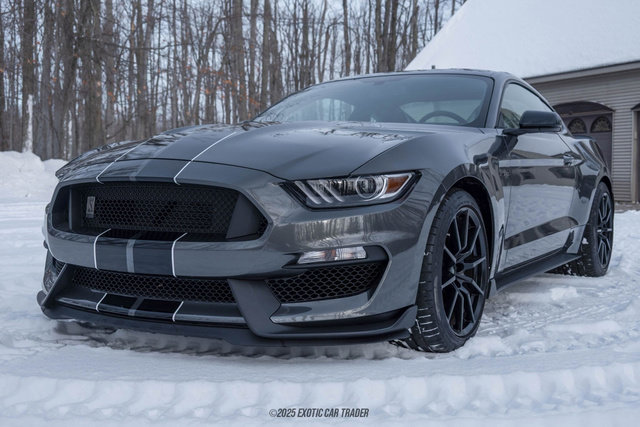 Used 2015 Ford Mustang Shelby GT350 image 14