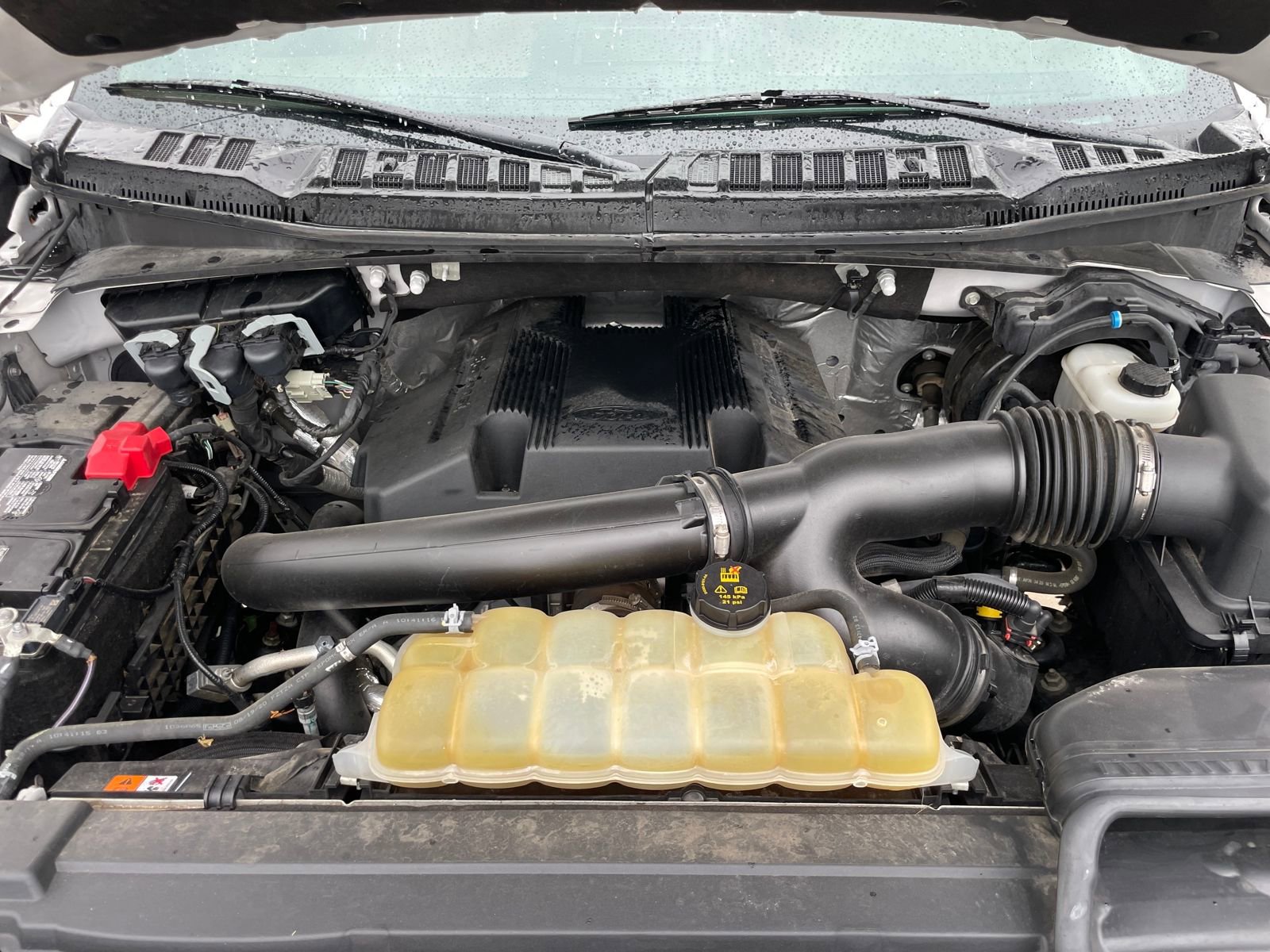 Used 2020 Ford F150 King Ranch w/ Equipment Group 601A Luxury image 16