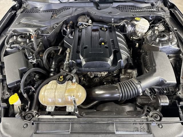 Used 2019 Ford Mustang Coupe w/ Black Accent Package RWD image 25