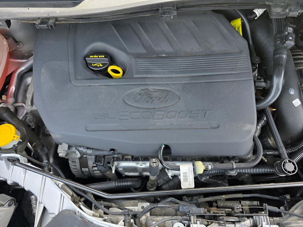 Used 2017 Ford Escape SE w/ Equipment Group 201A image 10