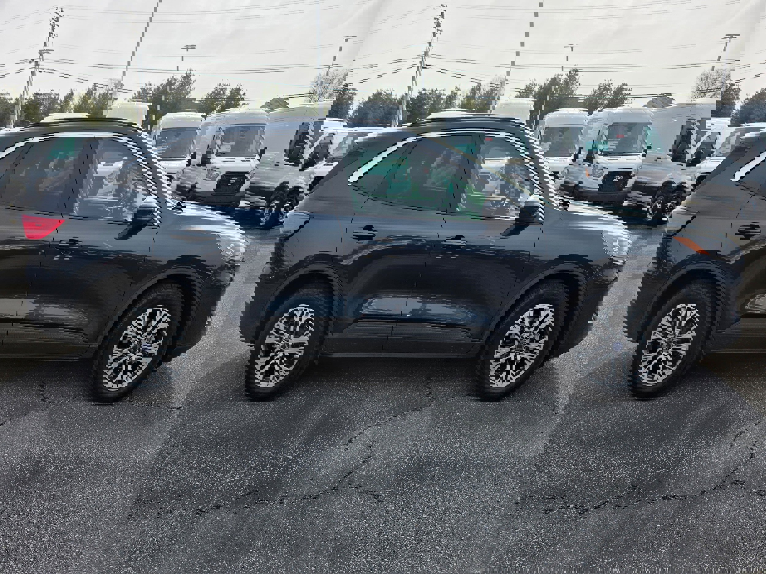 Certified 2022 Ford Escape SEL image 4