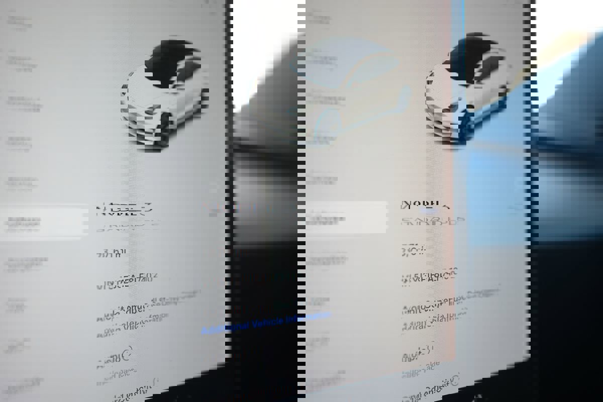 Used 2020 Tesla Model 3 Standard Range Plus image 7