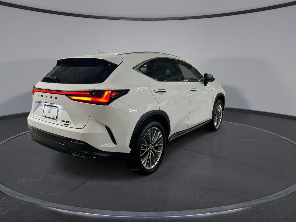New 2026 Lexus NX 350 AWD w/ Luxury Package image 2