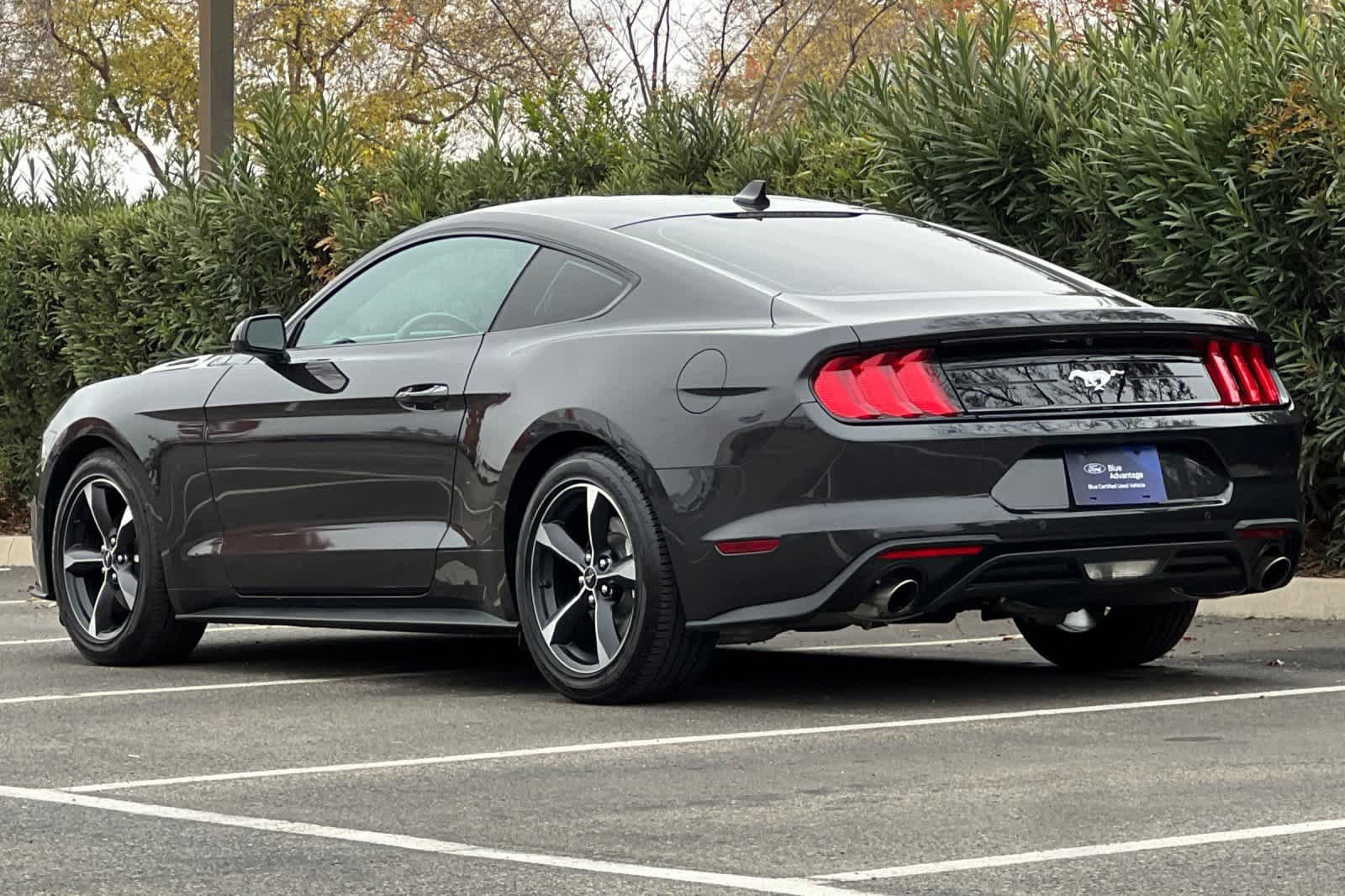 Certified 2023 Ford Mustang Coupe w/ Equipment Group 101A image 6
