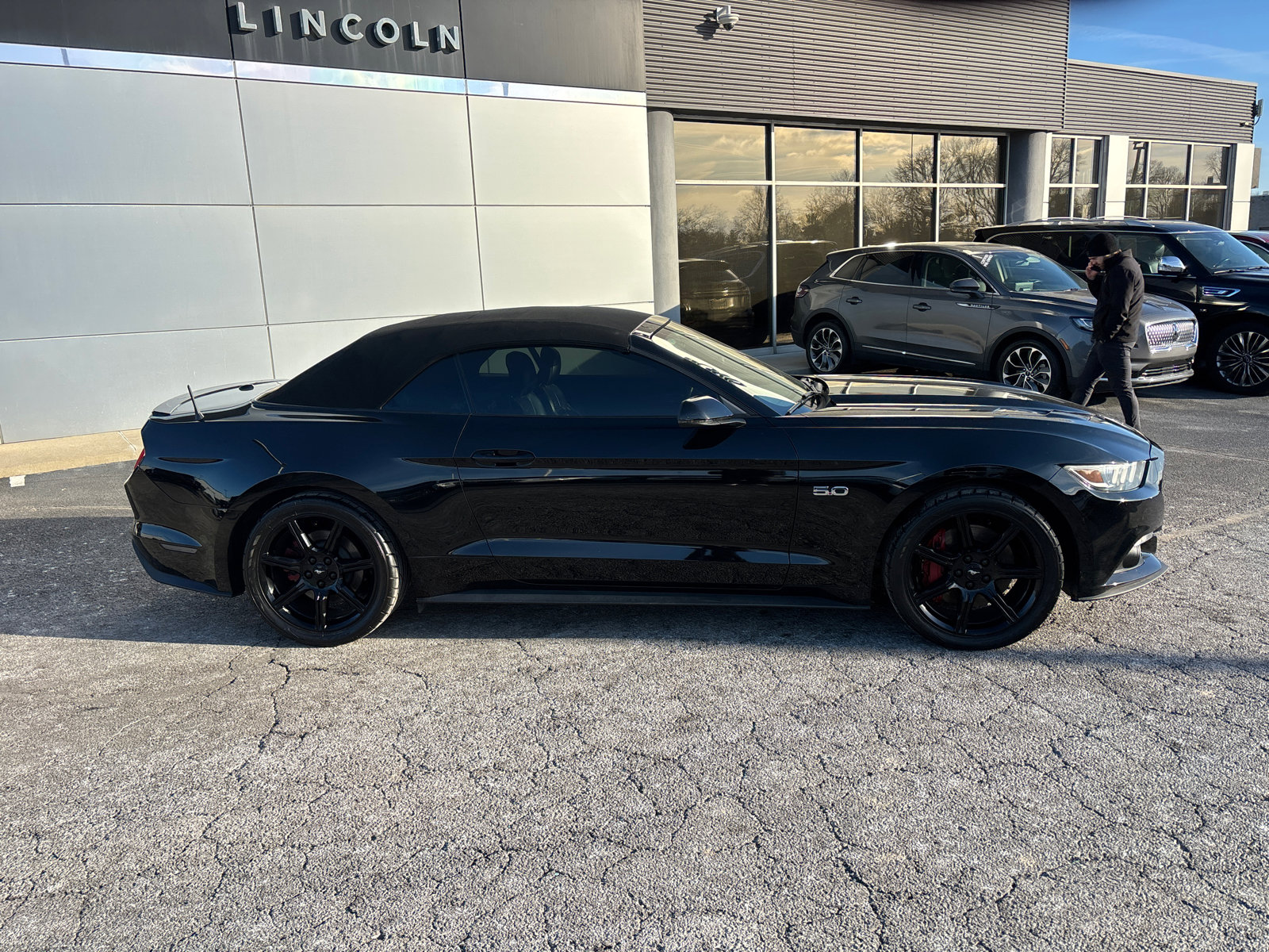 Used 2015 Ford Mustang GT Premium w/ Equipment Group 401A image 8