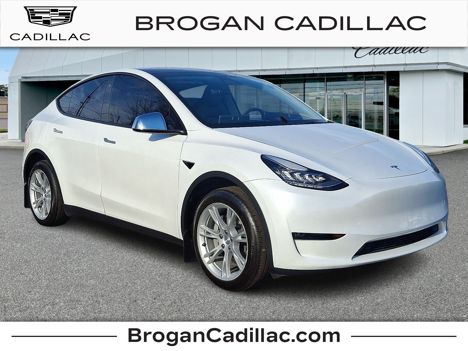 Used 2023 Tesla Model Y Long Range AWD/4WD image 1
