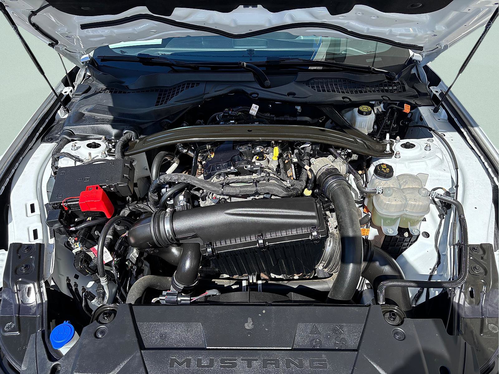 Used 2025 Ford Mustang Premium RWD image 9