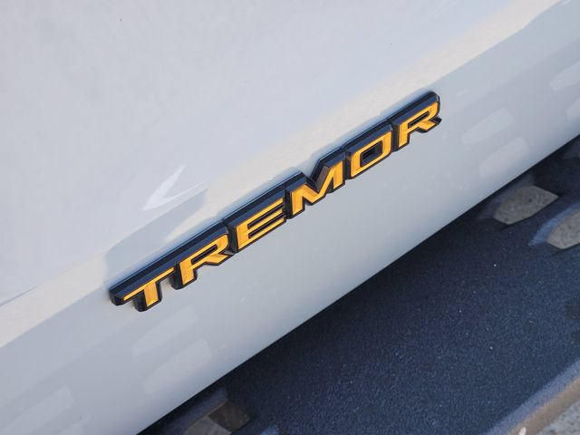 Used 2025 Ford Expedition Tremor AWD/4WD image 10