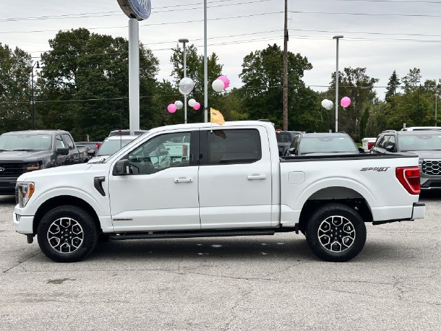 Certified 2023 Ford F150 XLT w/ Equipment Group 302A High AWD/4WD image 4