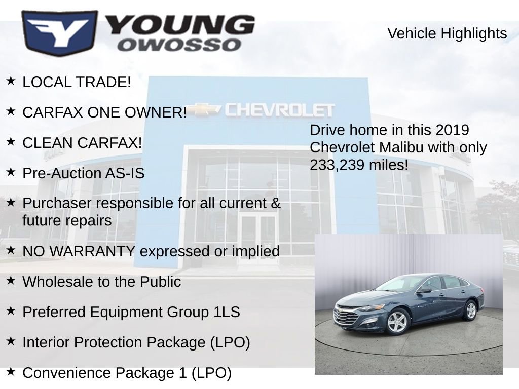 Used 2019 Chevrolet Malibu LS w/ LPO, Convenience Package 1 image 7