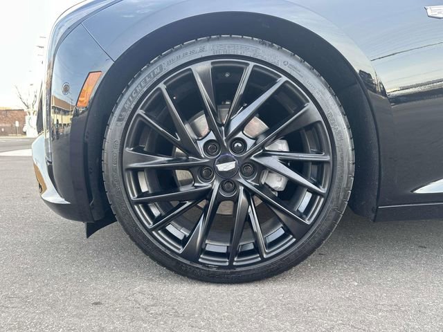 Certified 2025 Cadillac CT5 Premium Luxury image 11