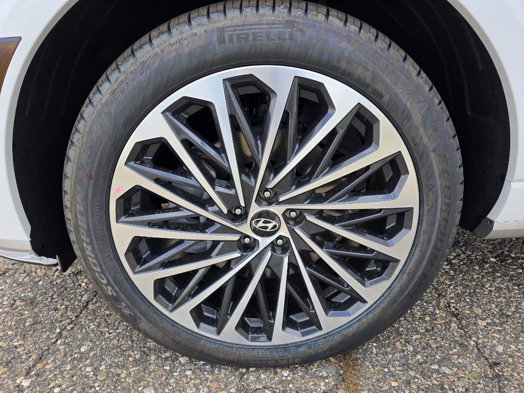 New 2026 Hyundai Palisade Calligraphy image 11