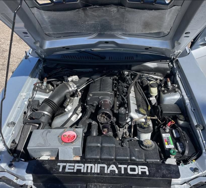 Used 2004 Ford Mustang Cobra RWD image 9