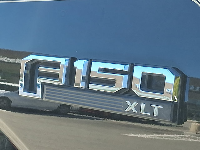 Used 2017 Ford F150 XLT w/ Equipment Group 302A Luxury AWD/4WD image 30