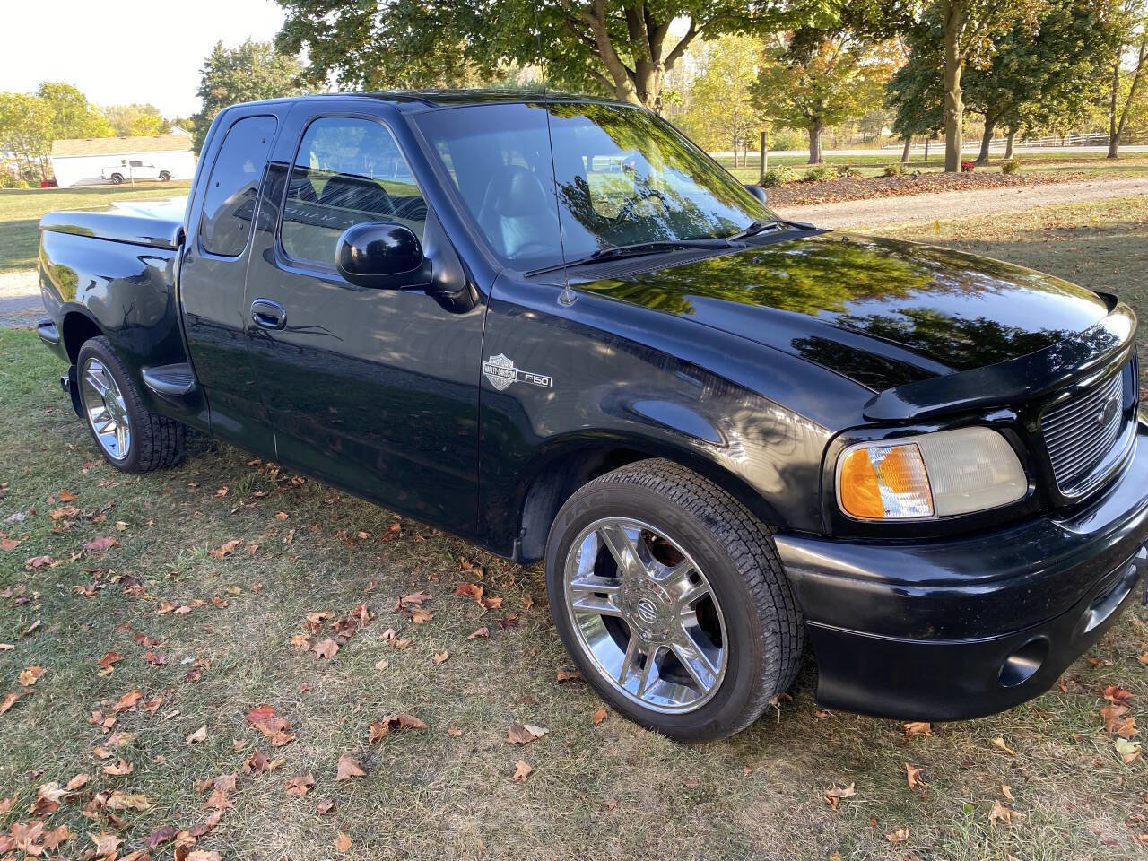Used 2000 Ford F150 Harley-Davidson image 1