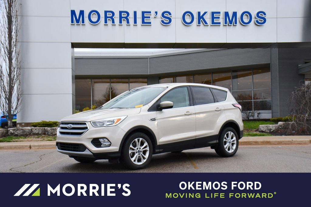 Used 2017 Ford Escape SE FWD video 1