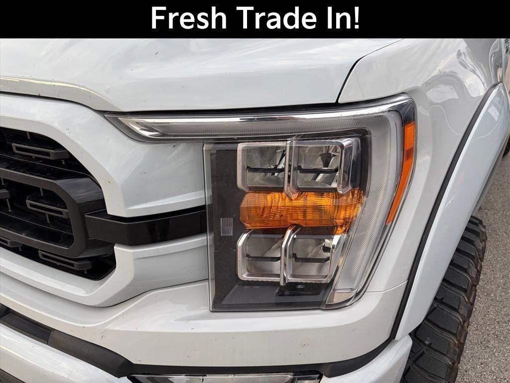 Used 2023 Ford F150 XLT w/ Equipment Group 302A High AWD/4WD image 4