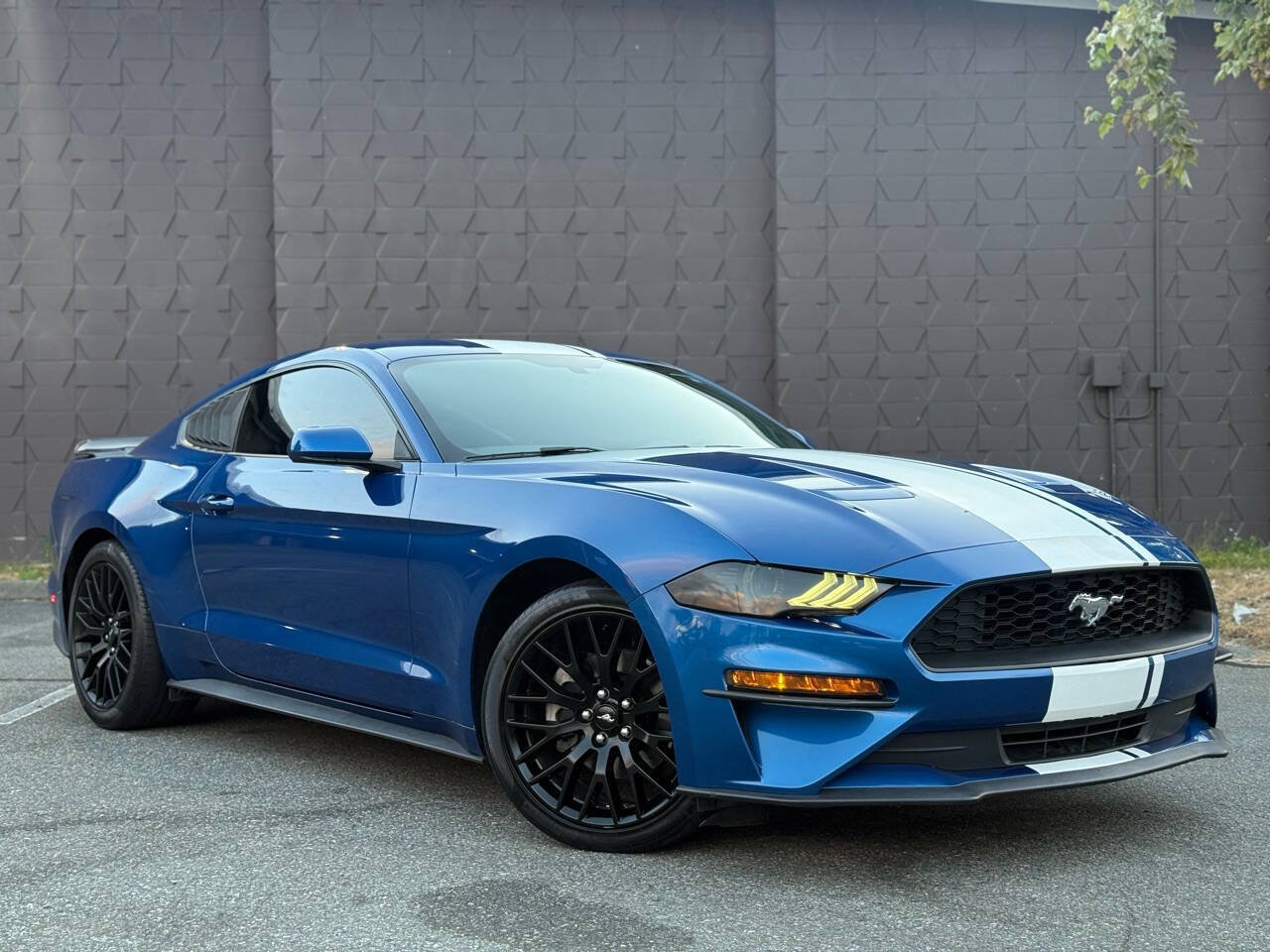 Used 2018 Ford Mustang Coupe RWD image 3