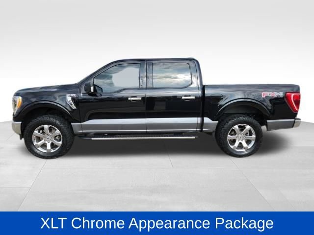 Used 2021 Ford F150 XLT w/ Equipment Group 302A High image 6