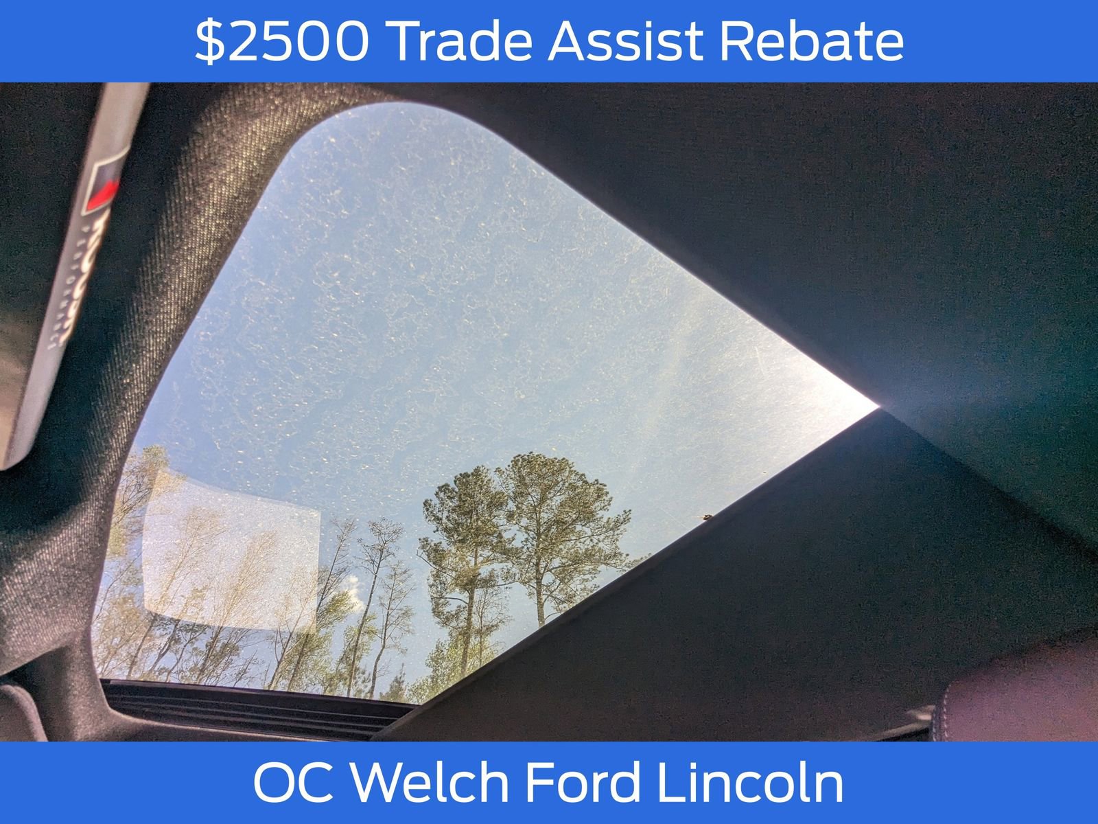 New 2024 Ford F150 XLT w/ Equipment Group 303A High image 22