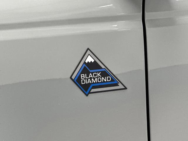 Used 2022 Ford Bronco Black Diamond image 34