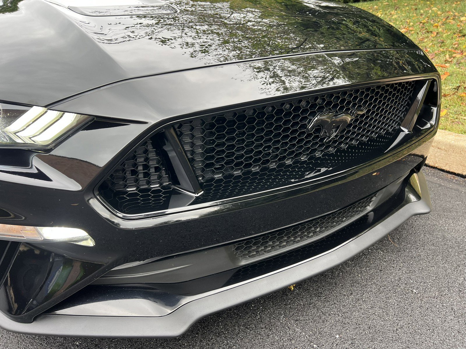 Used 2019 Ford Mustang GT Premium w/ Enhanced Security Package image 72
