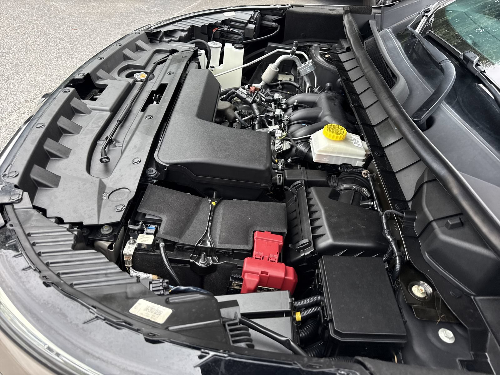 Used 2023 Nissan Pathfinder Rock Creek AWD/4WD image 34