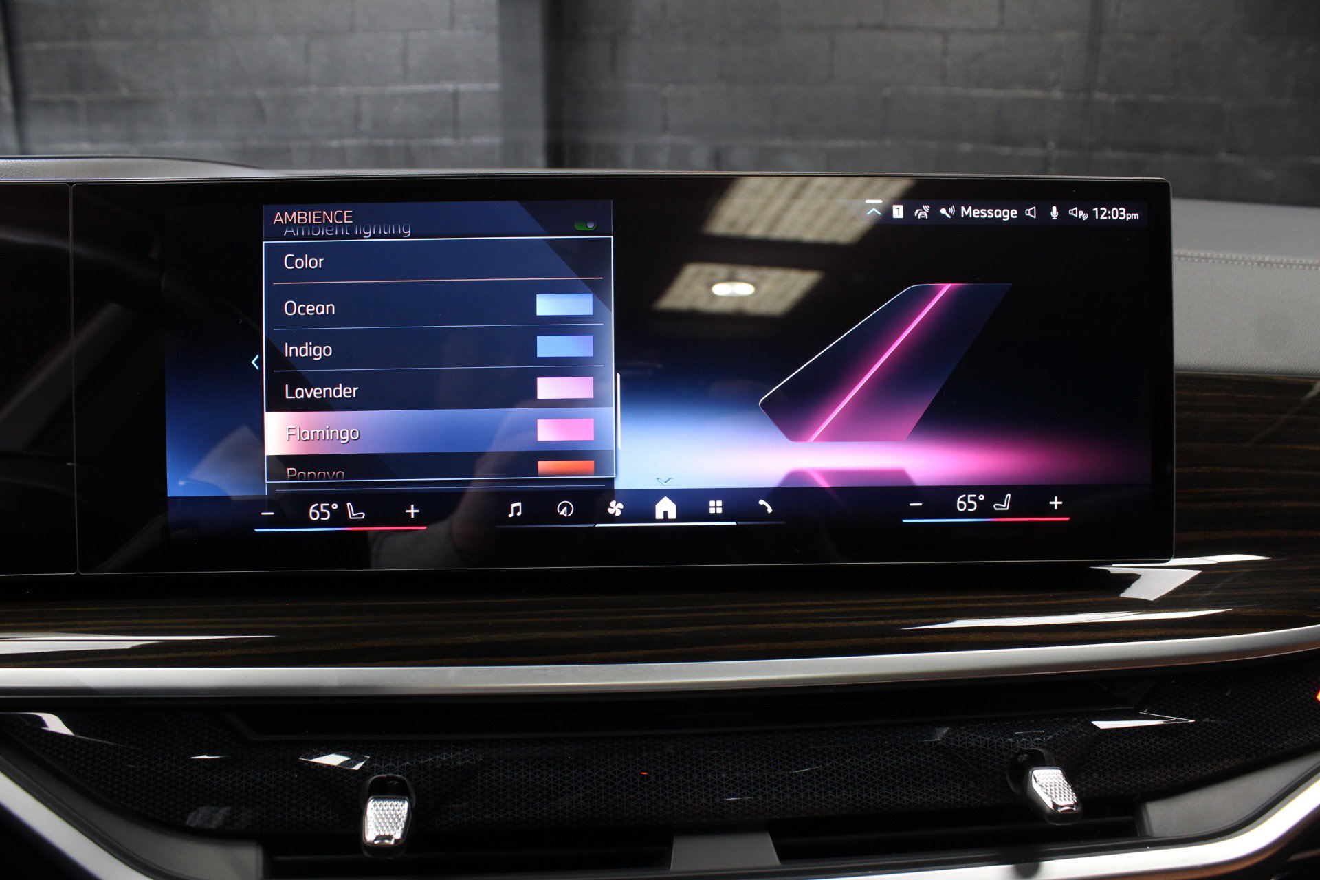 Used 2024 BMW X5 sDrive40i w/ Premium Package image 72