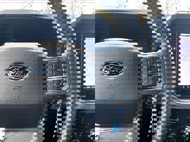 Used 2025 Ford F150 XLT w/ Equipment Group 301A Standard image 24